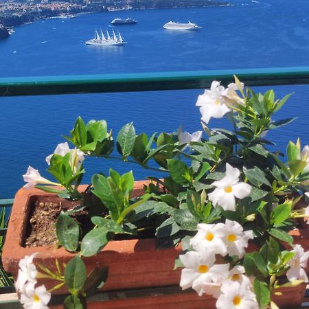Giardino 21 Marzo Bed and Breakfast Vico Equense Buitenkant foto