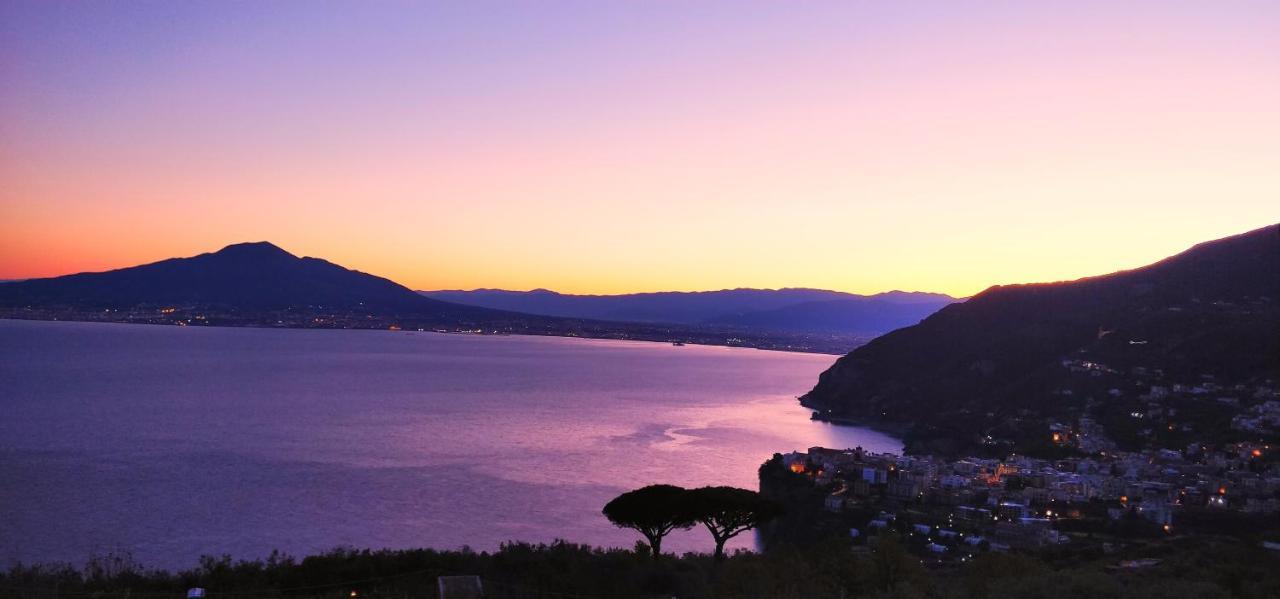 Giardino 21 Marzo Bed and Breakfast Vico Equense Buitenkant foto