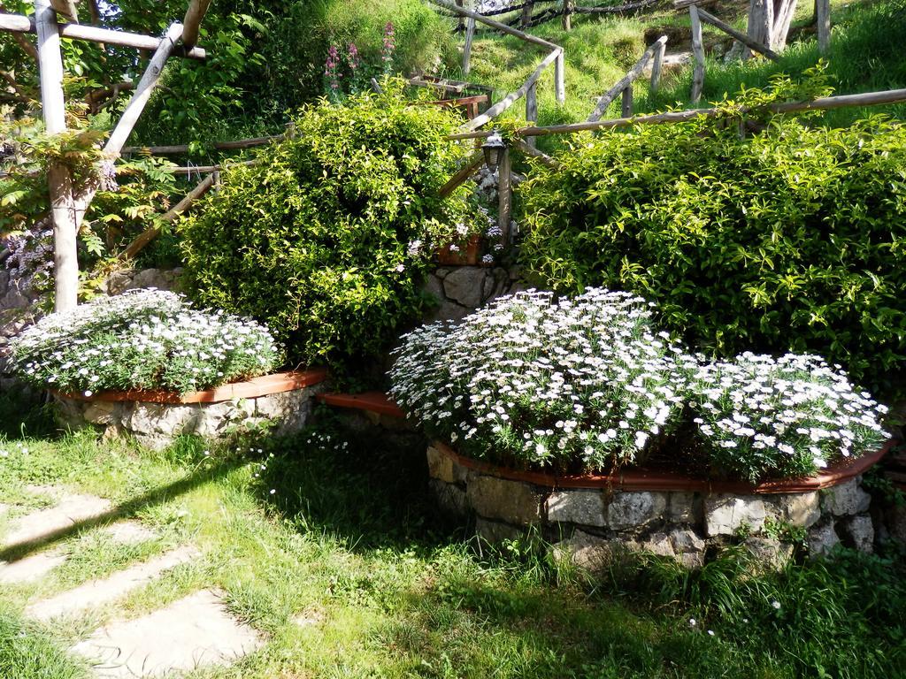 Giardino 21 Marzo Bed and Breakfast Vico Equense Buitenkant foto