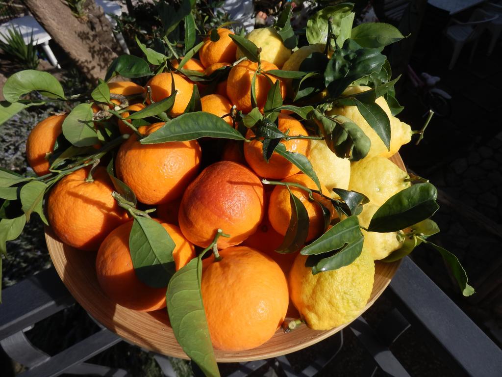 Giardino 21 Marzo Bed and Breakfast Vico Equense Buitenkant foto